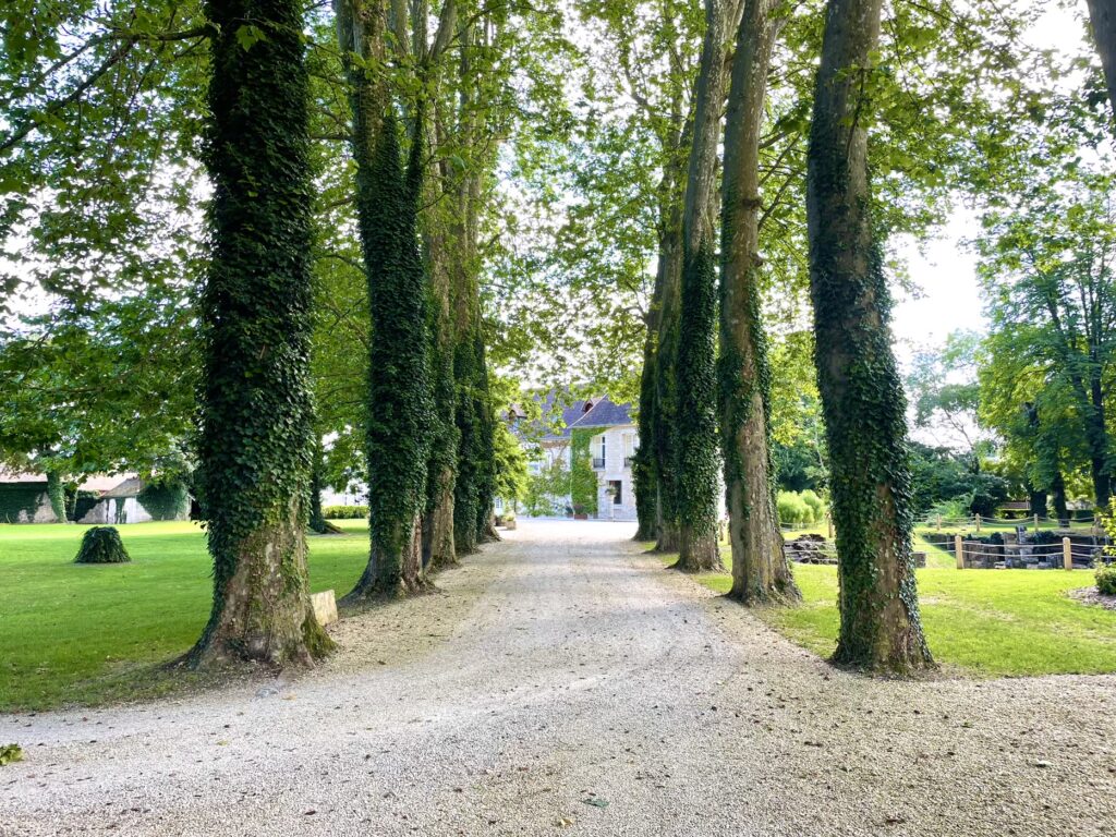 Allée bordée d'arbres de chaque côté.